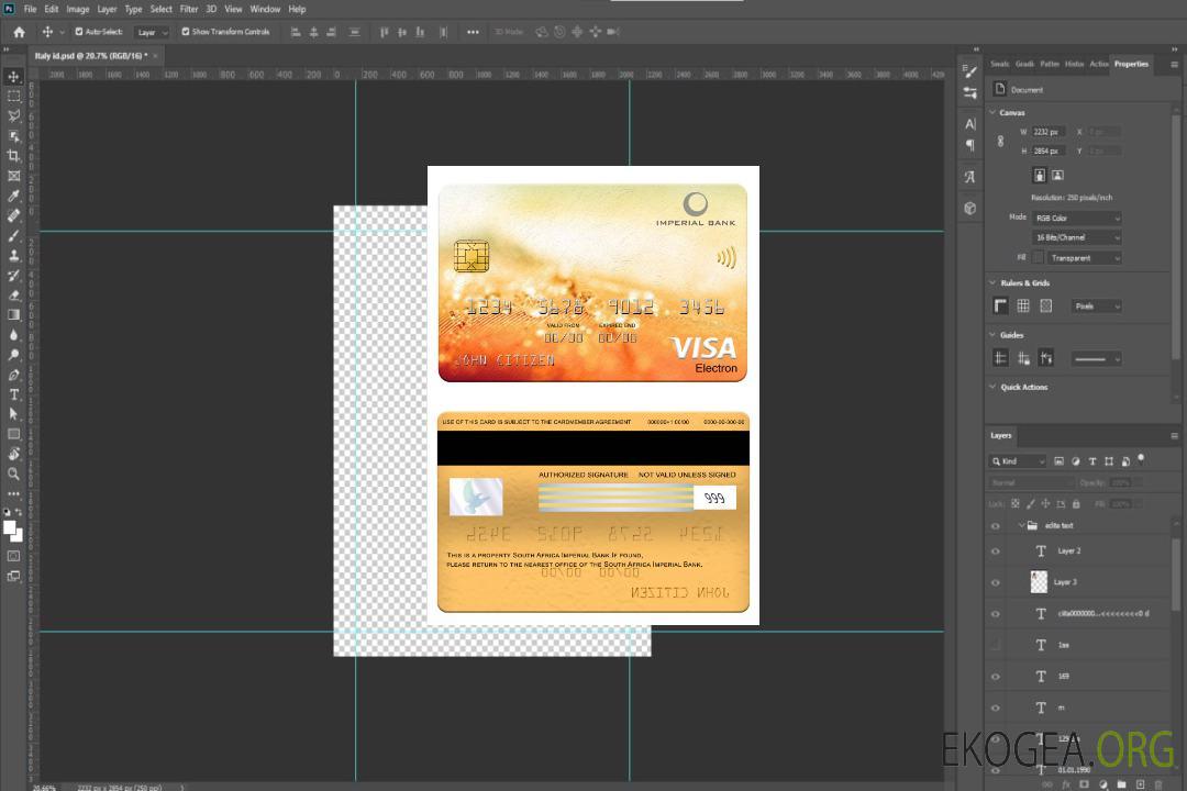 Carte électronique visa de la Banque impériale d'Afrique du Sud template